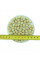 Peanut seeds «Argentine white»