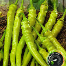 Hot pepper seeds «Pepperoni Cigarette Bionda»