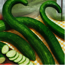 Cucumber seeds «Snake-shaped»