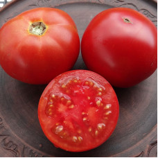 Tomato seeds «Turgay»