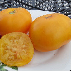 Tomato seeds «Yellow marmalade»