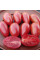 Tomato seeds «Rainbow No. 16»
