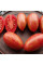 Tomato seeds «Rainbow No. 16»