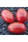 Tomato seeds «Rainbow No. 16»