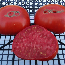 Tomato seeds «Texwine»