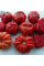 Tomato seeds «Riccio di Parma»