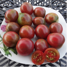 Tomato seeds «Purple Fairy»