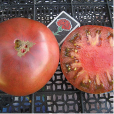 Tomato seeds «Morado»