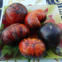 Семена томата «Королева ночи»