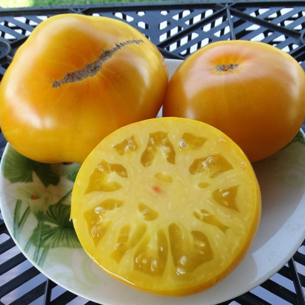 Tomato seeds «Giallo de Summer»