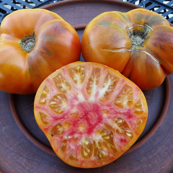 Tomato seeds «Ananas bleue Lignee»