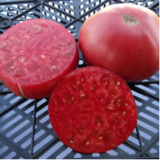 Tomato seeds «Almansa»