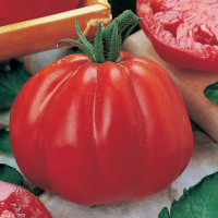 Tomato seeds «Cuor Di Bue»
