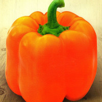 Sweet pepper seeds «Bugai»