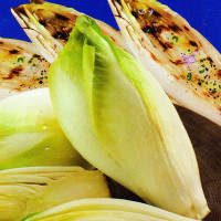 Salad seeds «Witloof cone»