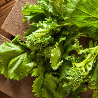 Broccoli raab seeds «San Marzano»