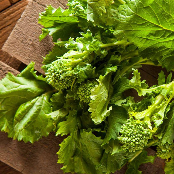 Broccoli raab seeds «San Marzano»