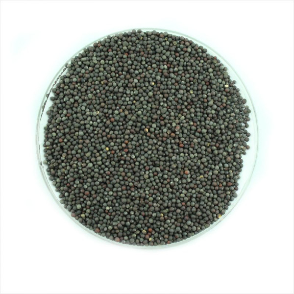 Broccoli raab seeds «San Marzano»