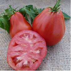 Tomato seeds «Japanese pink truffle»