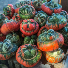 Pumpkin seeds «Turkish turban»
