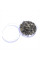 Silphium seeds