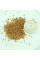 Rhododendron occidentale seeds