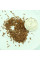 Rhododendron (azalea) seeds «Nabucco»