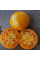 Tomato seeds «Exotic fruit»