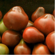 Tomato seeds «Bedouin»