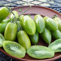 Насіння томату «Смарагдова бурулька»