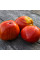 Tomato seeds «Yee Chan's Uncle's Oxheart»