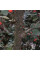 Cotoneaster sternianus seeds
