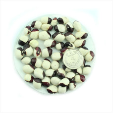 Bean seeds «Yin Yang»