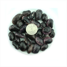 Bean seeds «Scarlet»