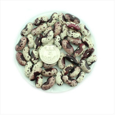 Bean seeds «Butterfly»