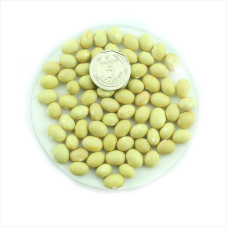 Bean seeds «Lemon Bomb»