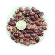 Bean seeds «Malynka»