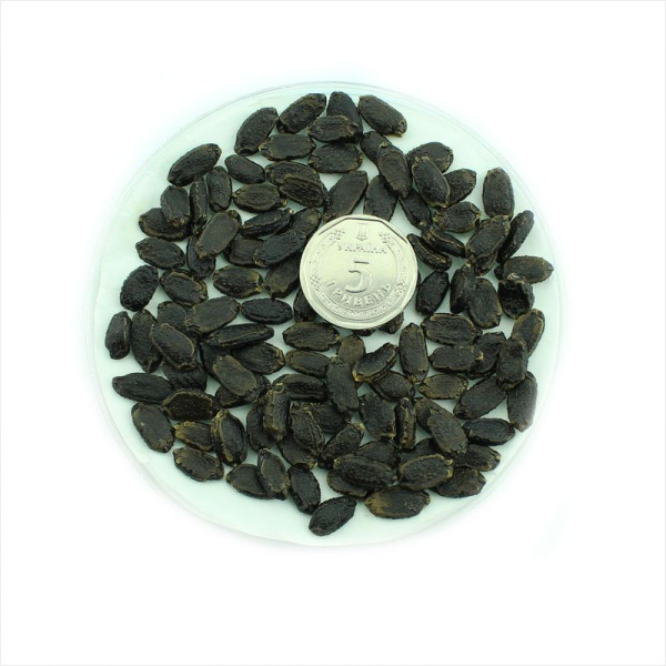 Balsam pear gourd seeds