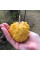 Kiwano seeds «Jelly Round»
