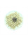 Kiwano seeds «Jelly Round»