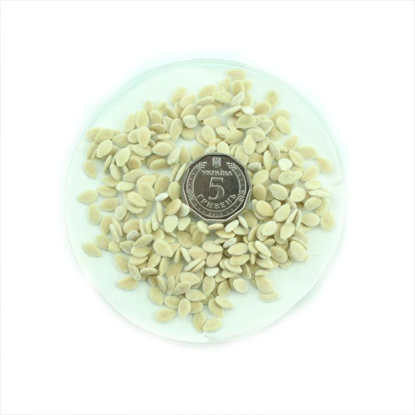 Kiwano seeds «Jelly Round»