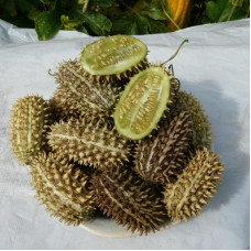 Kiwano seeds «Wild thorn»