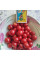 Solanum sisymbriifolium seeds «Vila-Vila»