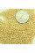 Solanum sisymbriifolium seeds «Vila-Vila»