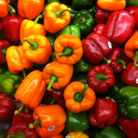 Sweet pepper seeds «Sweet Rainbow» (mix)