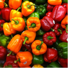 Sweet pepper seeds «Sweet Rainbow» (mix)