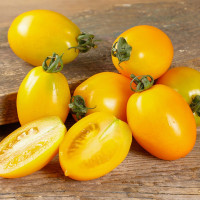 Tomato seeds «Datterini yellow»