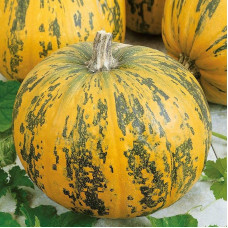 Pumpkin seeds «Vitamin»
