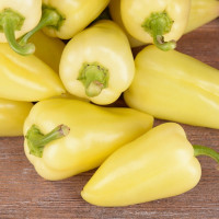 Насіння перцю солодкого «Білозерка»