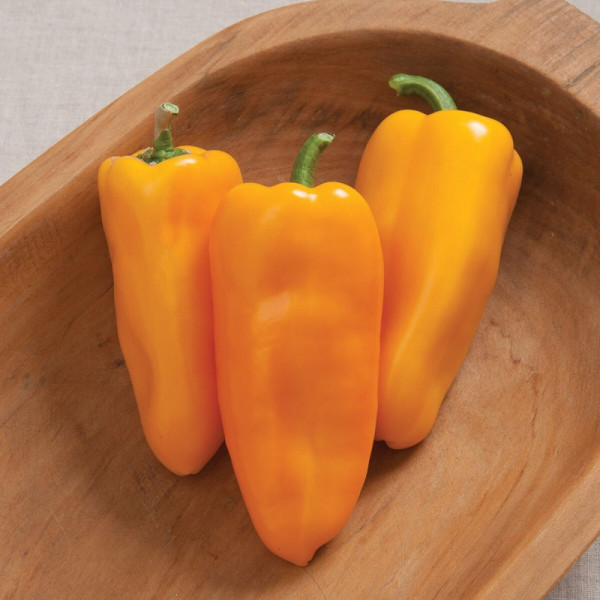 Sweet pepper seeds «Alba»